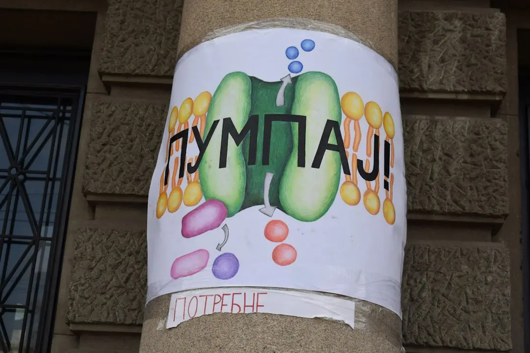 Tinerii din SUA folosesc inteligența artificială pentru sfaturi despre droguri