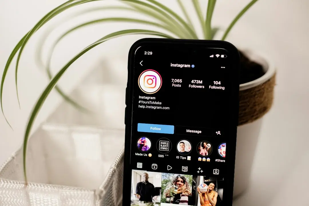 Doi influenceri conservatori acuzați de fapte penale după stunt la votul din Minnesota