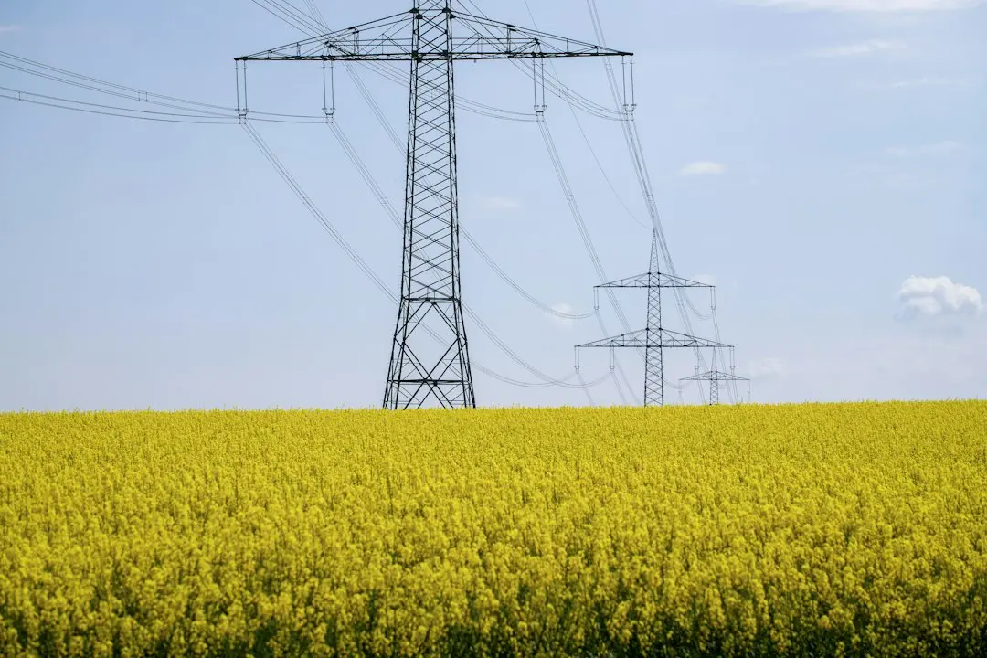 Criza energetică a celulelor: Cum excesul de ARN ne poate îmbolnăvi