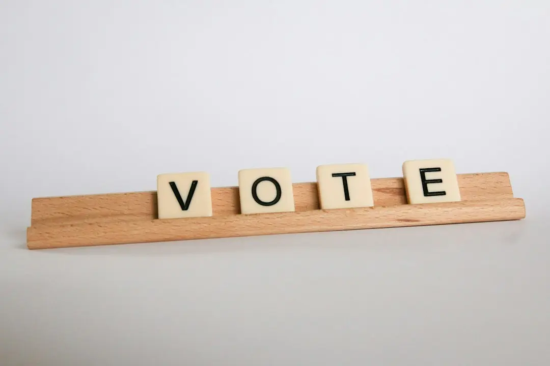 Participare record la vot: 45% din alegători au votat până la ora 14:00