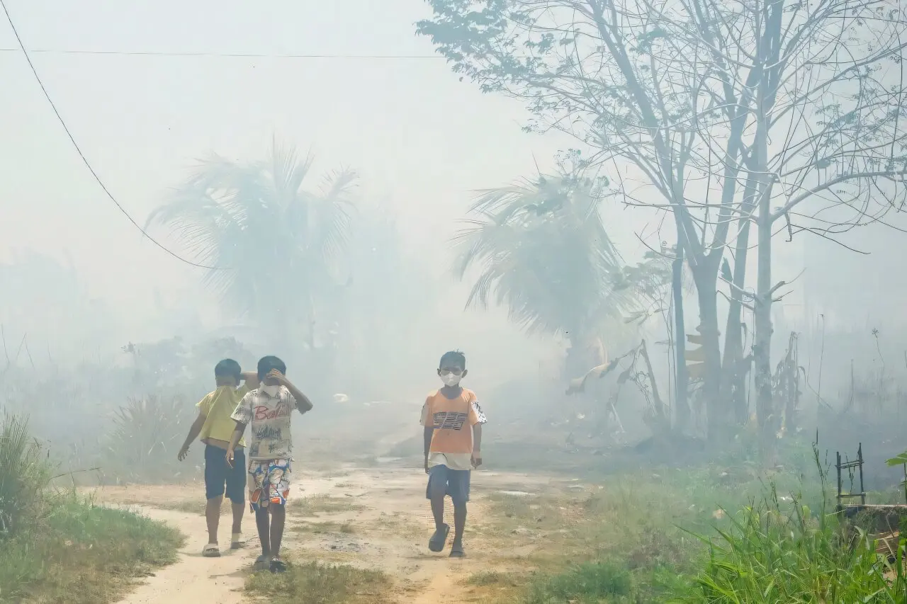Indonezia, sufocată de fum: mii de victime din cauza incendiilor de vegetație